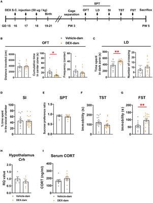 Possible involvement of microglial P2RY12 and peripheral IL-10 in postpartum depression